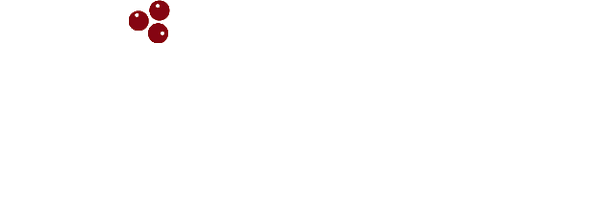 Kalyna Social Co.