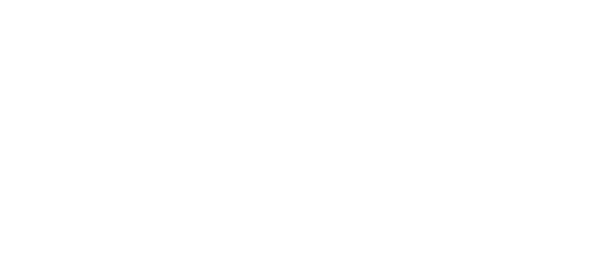 Spark Automotive Ltd.